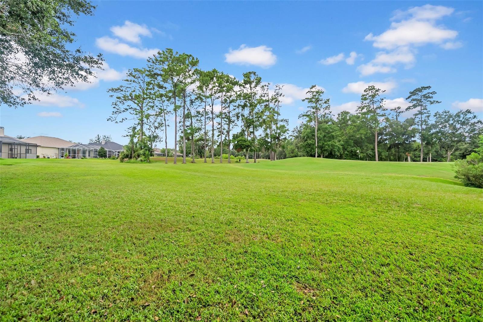 4455 Gevalia Dr Property Photo 62