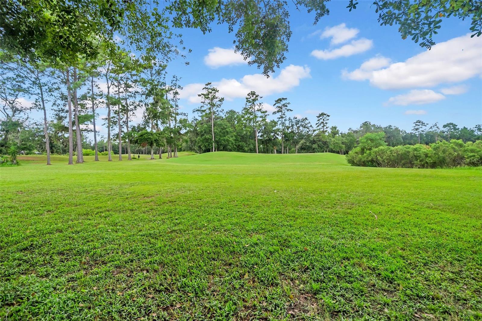 4455 Gevalia Dr Property Photo 63