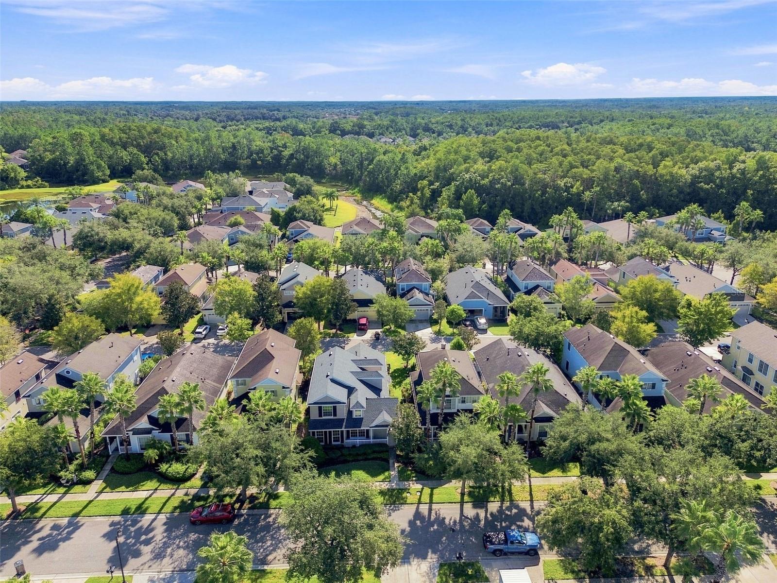 20113 Bending Creek Pl Property Photo 43