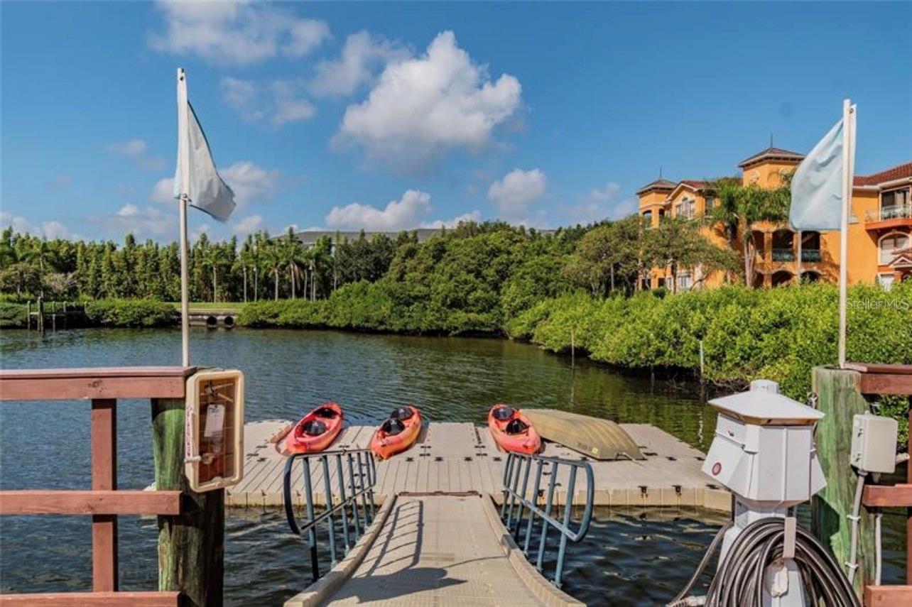 2741 Via Cipriani #916a Property Photo 49