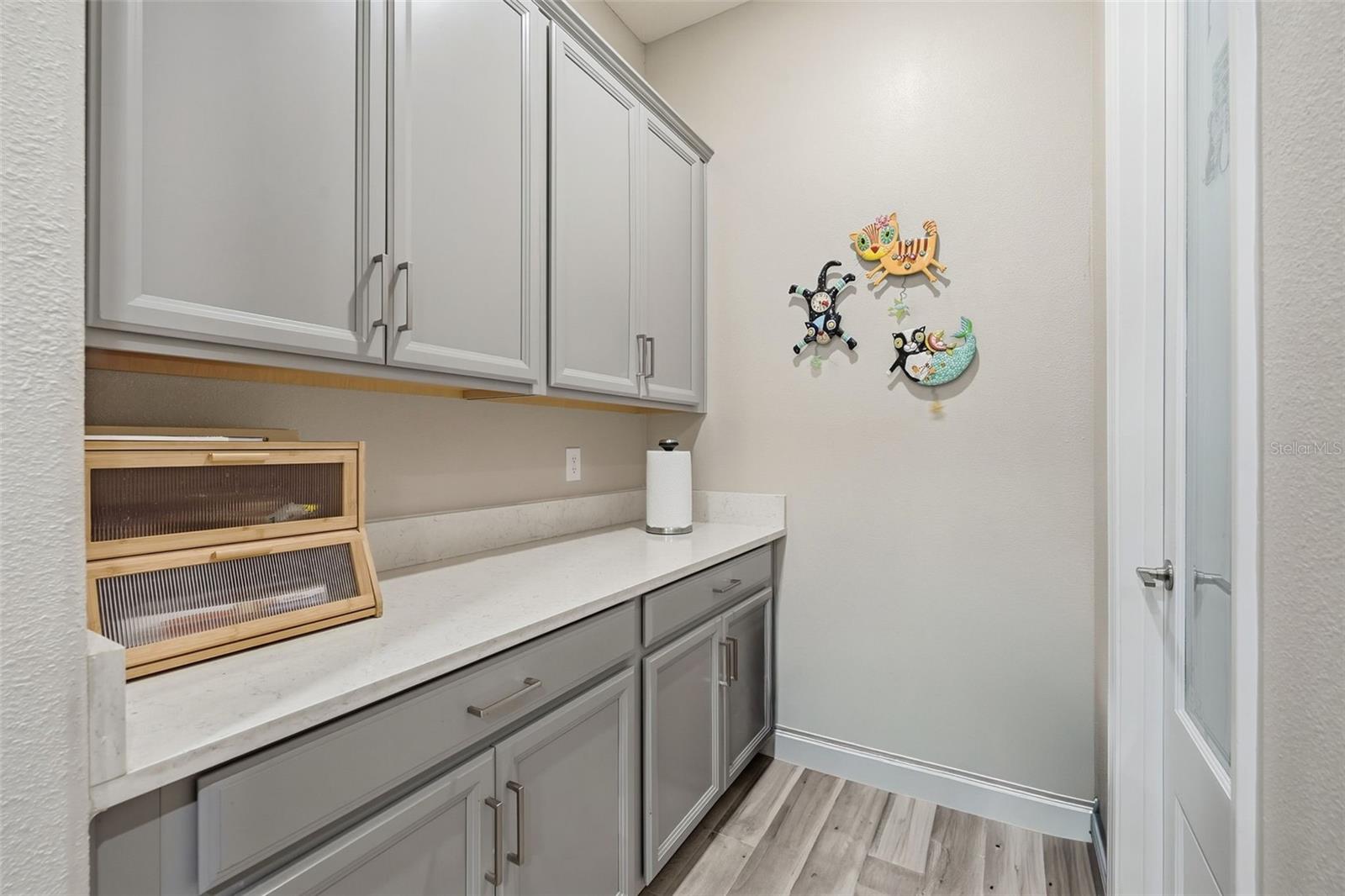 5321 Kelper Hook Court Property Photo 21