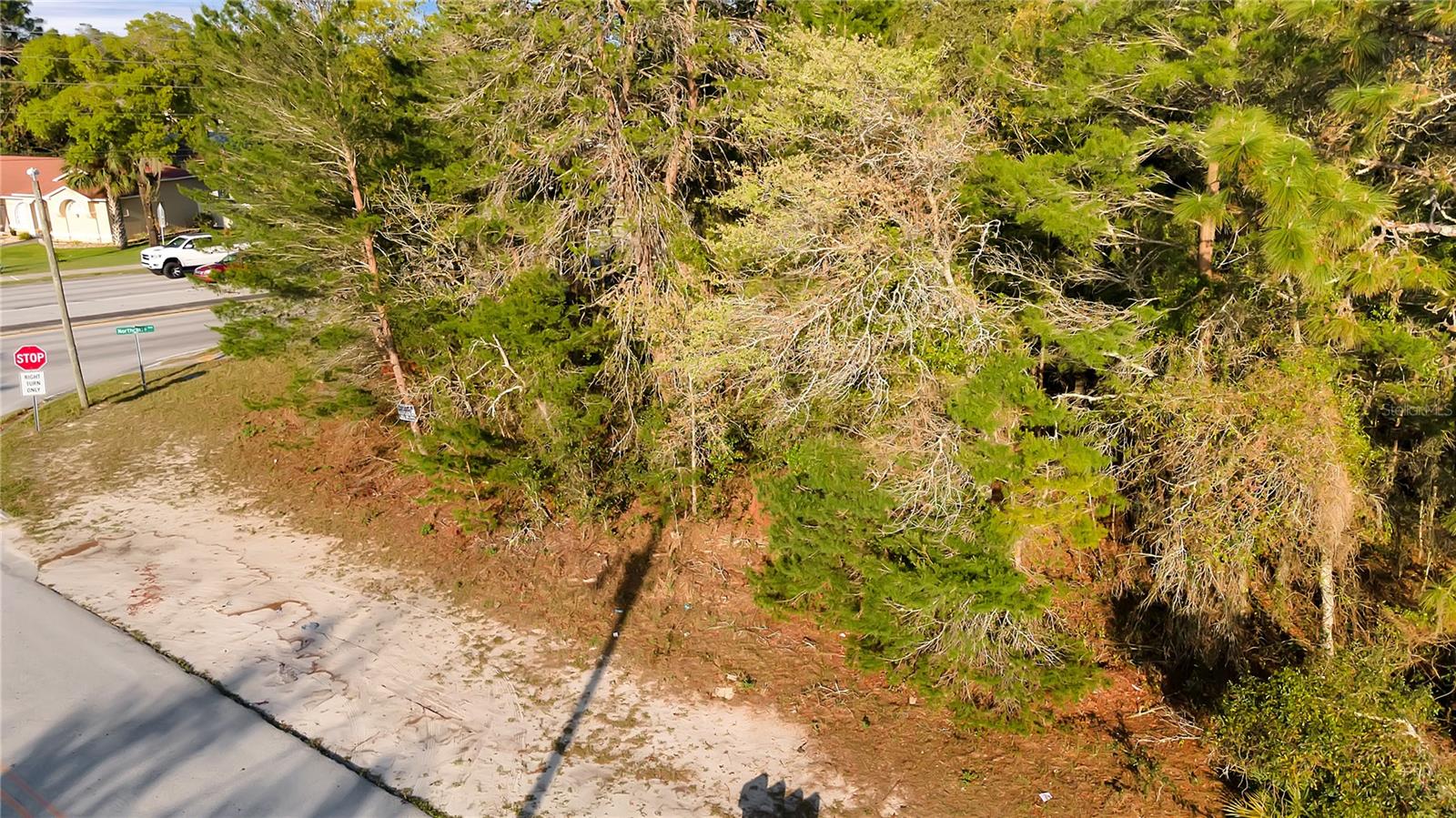 4380 Azora Rd Property Photo 6