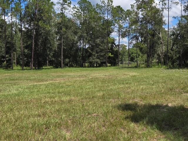 18505 Holloway Ln Property Photo 2