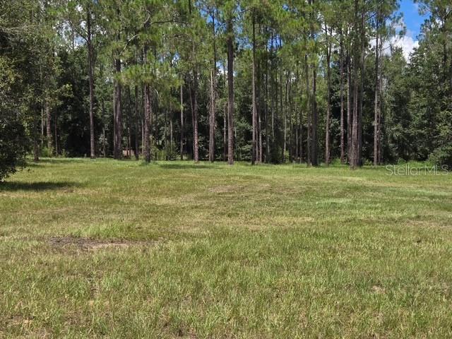 18505 Holloway Ln Property Photo 3