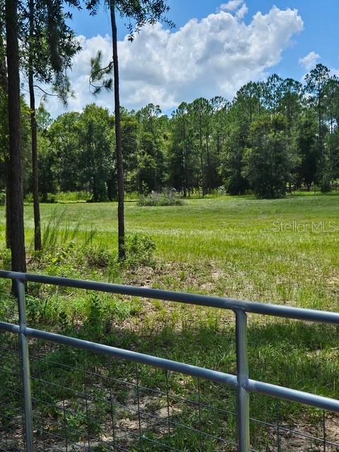 18505 Holloway Ln Property Photo 9