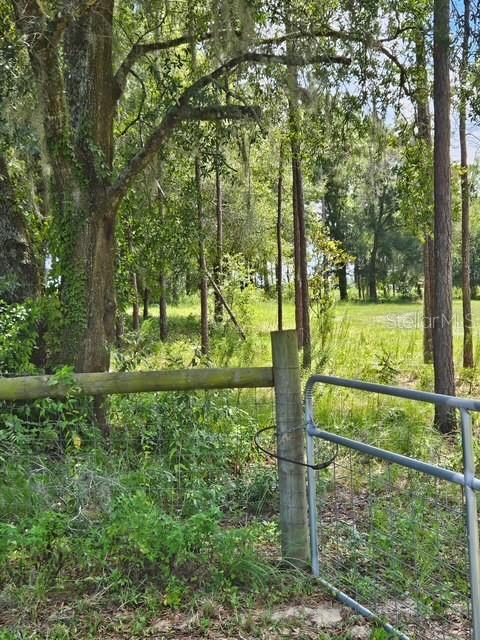18505 Holloway Ln Property Photo 10