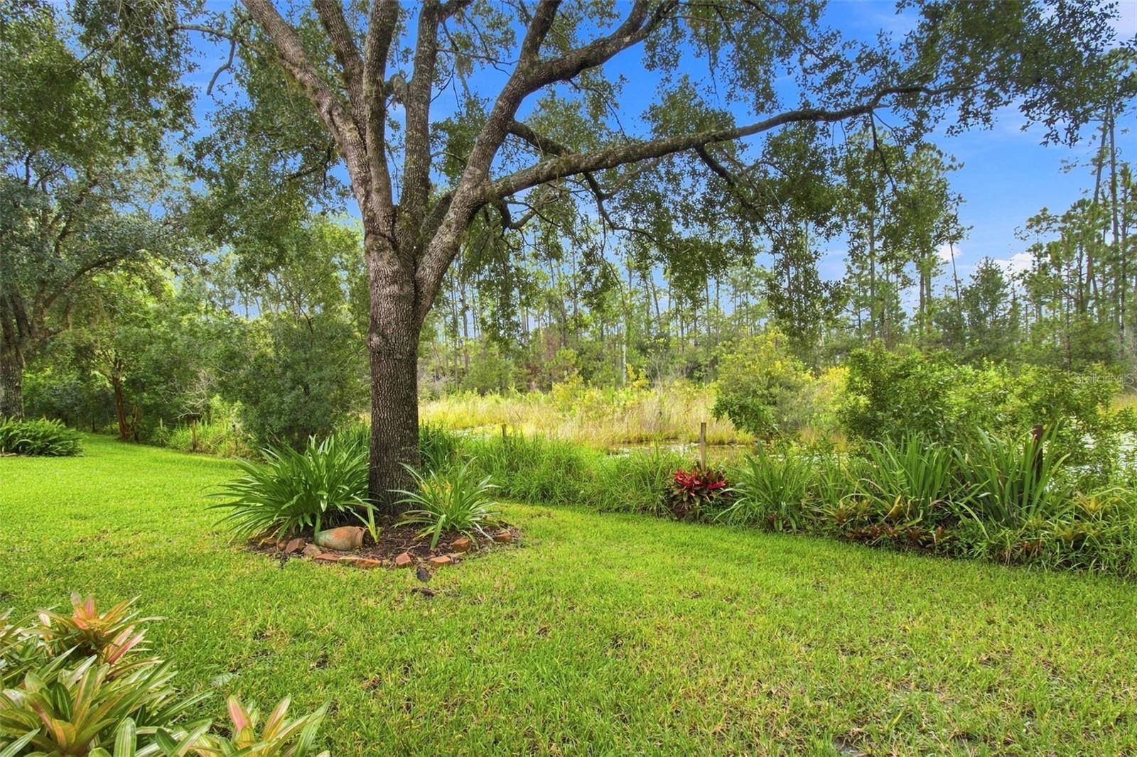 7625 Deer Path Ln Property Photo 30