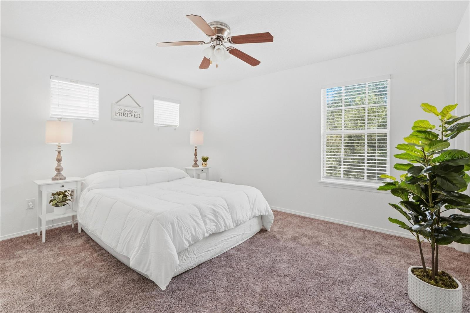 4652 Chatterton Way Property Photo 13