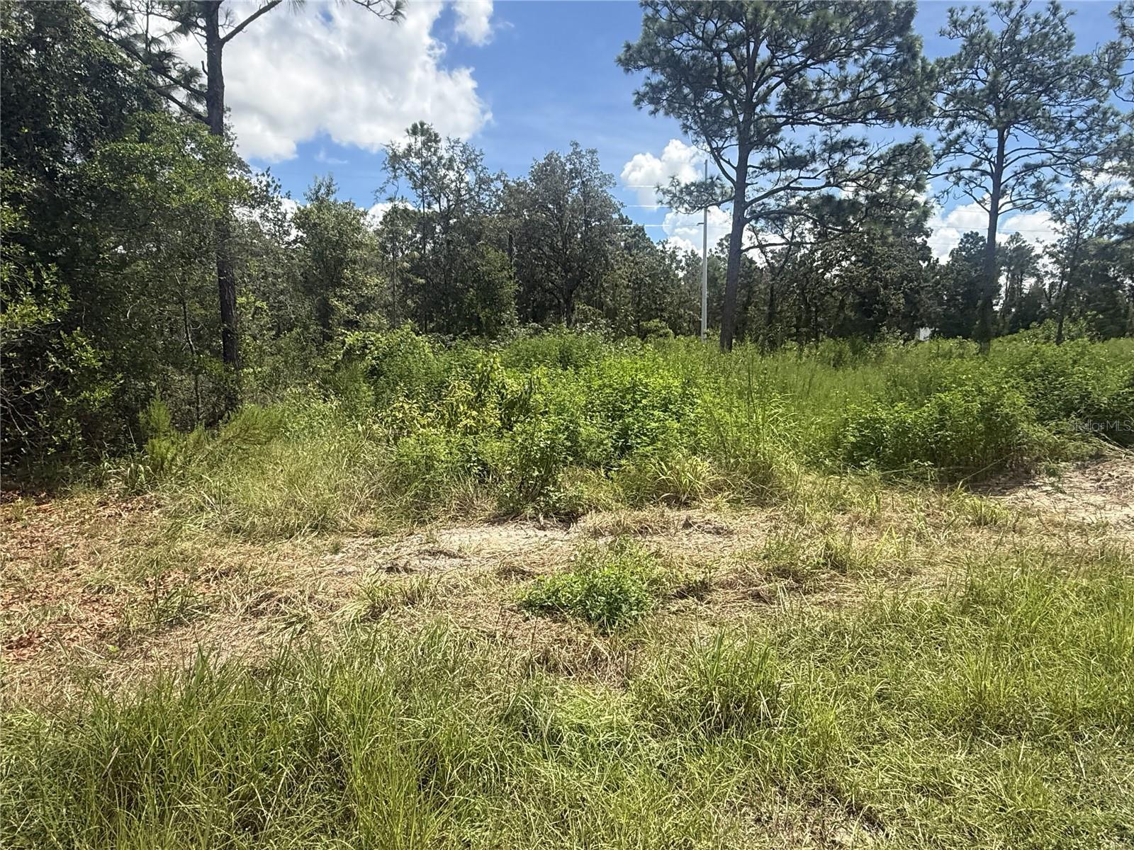 12220 Marvelwood Rd Property Photo 2