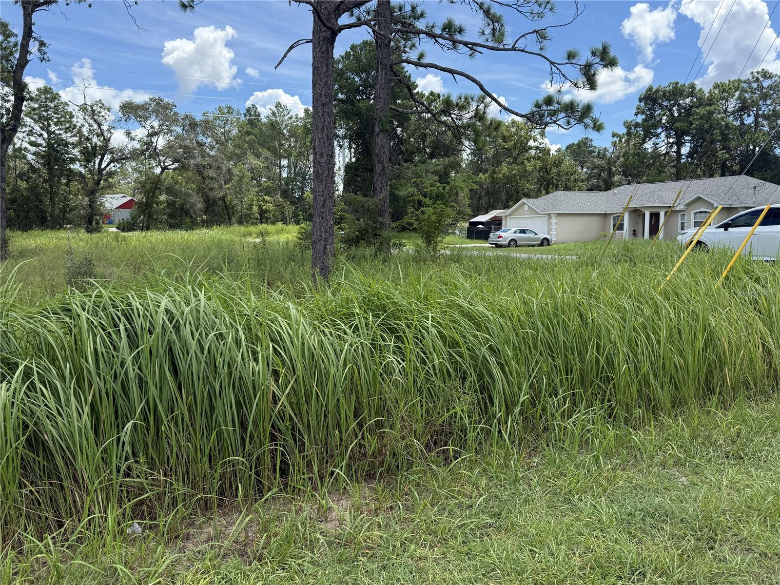 12220 Marvelwood Rd Property Photo 4