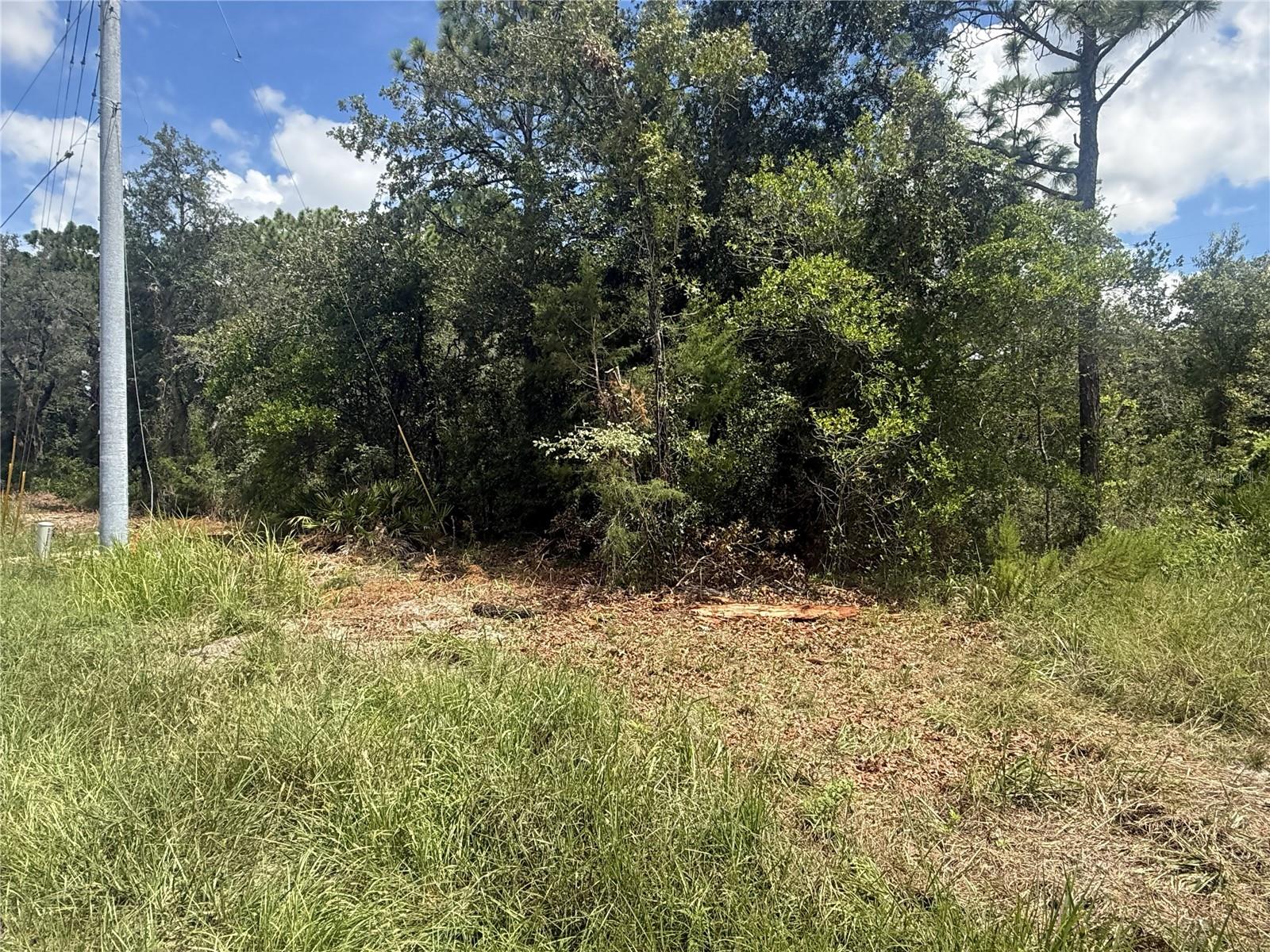 12220 Marvelwood Rd Property Photo 6