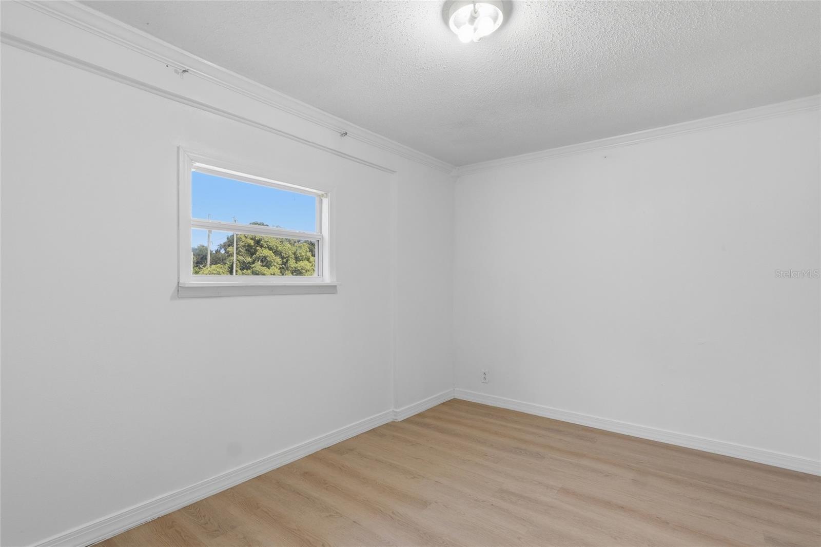 39250 Miramar Dr Property Photo 22