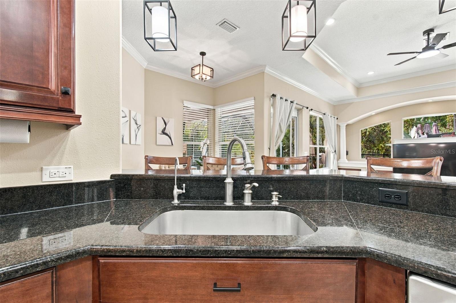 3339 Diamond Falls Cir Property Photo 16