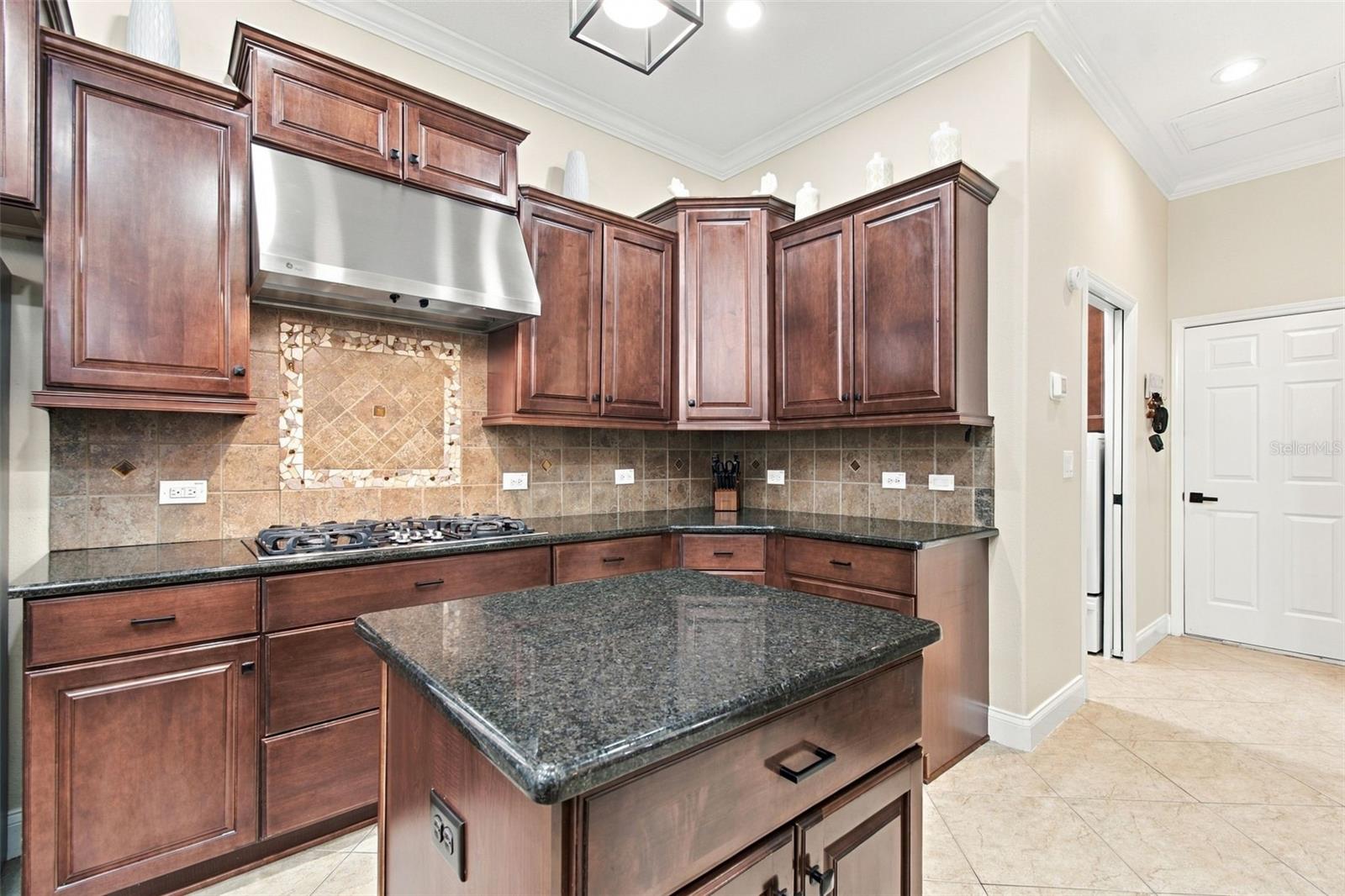 3339 Diamond Falls Cir Property Photo 20