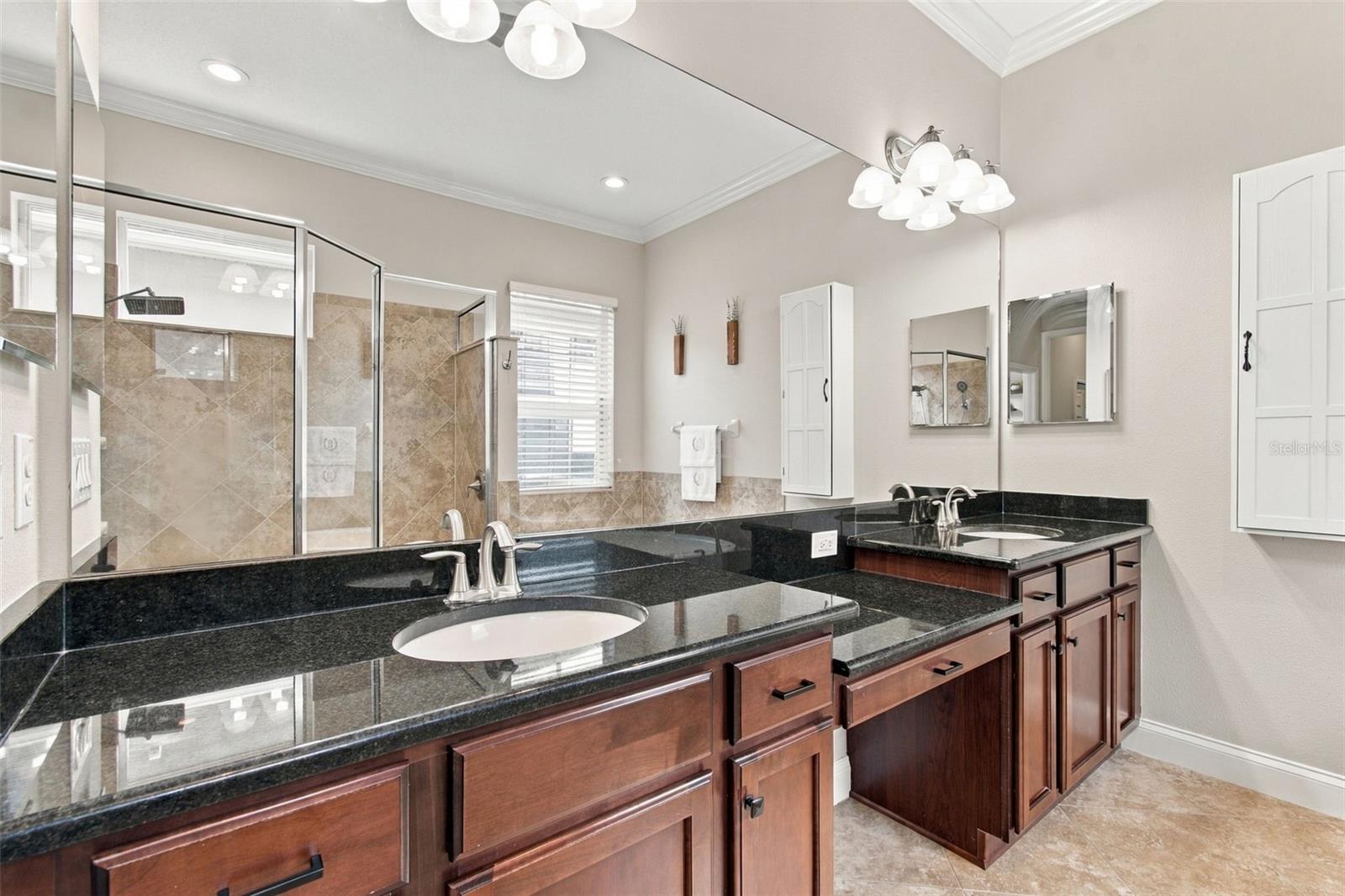 3339 Diamond Falls Cir Property Photo 42