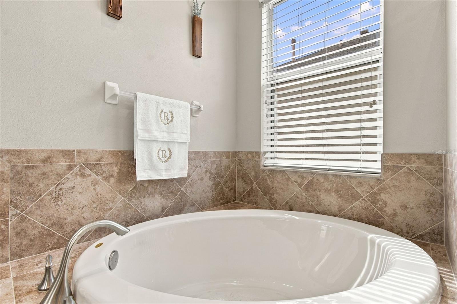 3339 Diamond Falls Cir Property Photo 44