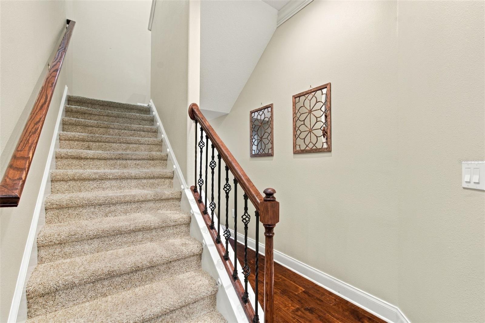 3339 Diamond Falls Cir Property Photo 48