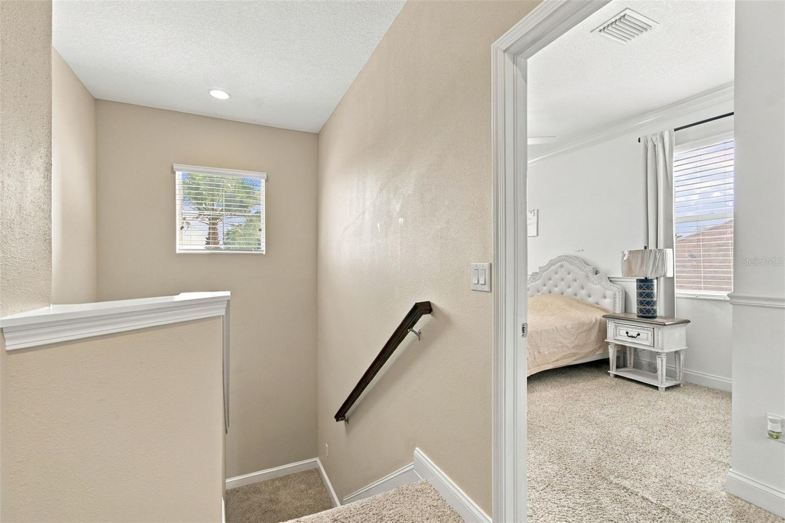 3339 Diamond Falls Cir Property Photo 50