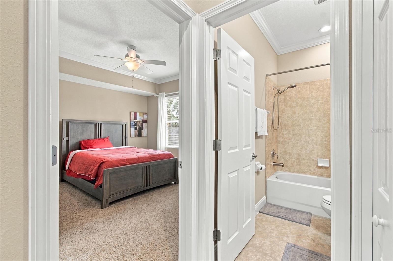 3339 Diamond Falls Cir Property Photo 62
