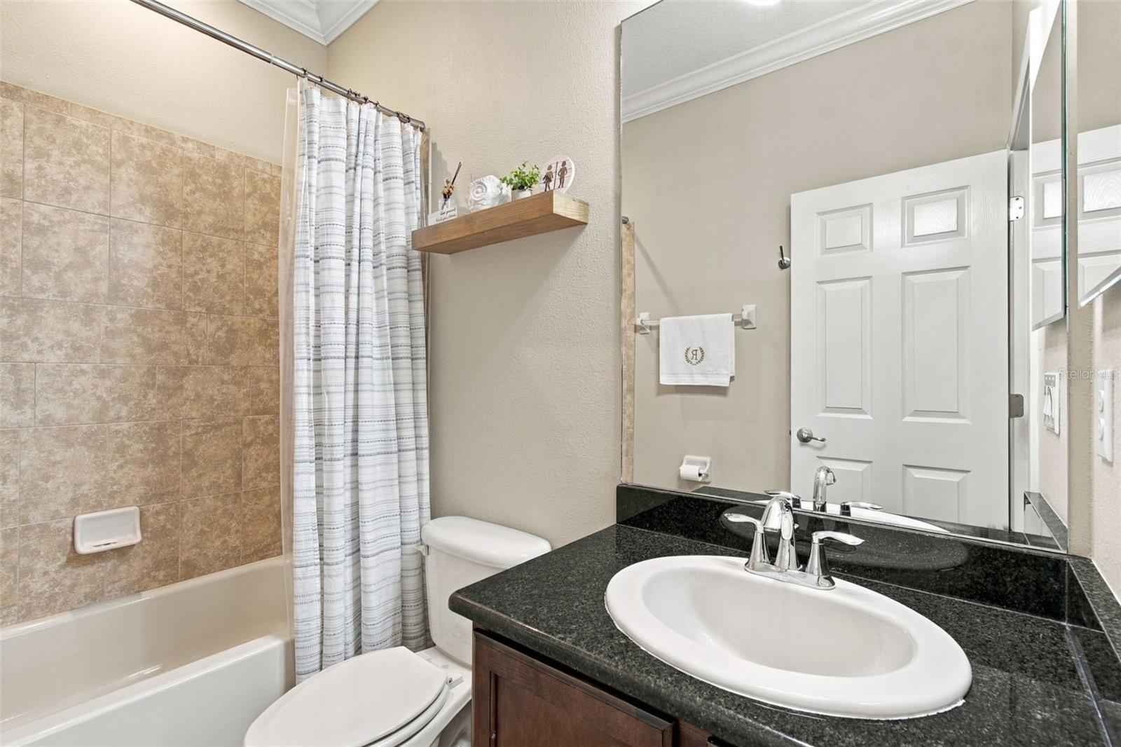 3339 Diamond Falls Cir Property Photo 65
