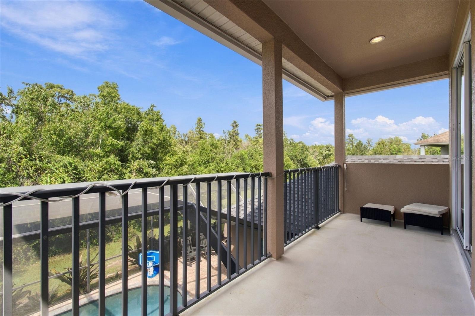 3339 Diamond Falls Cir Property Photo 67