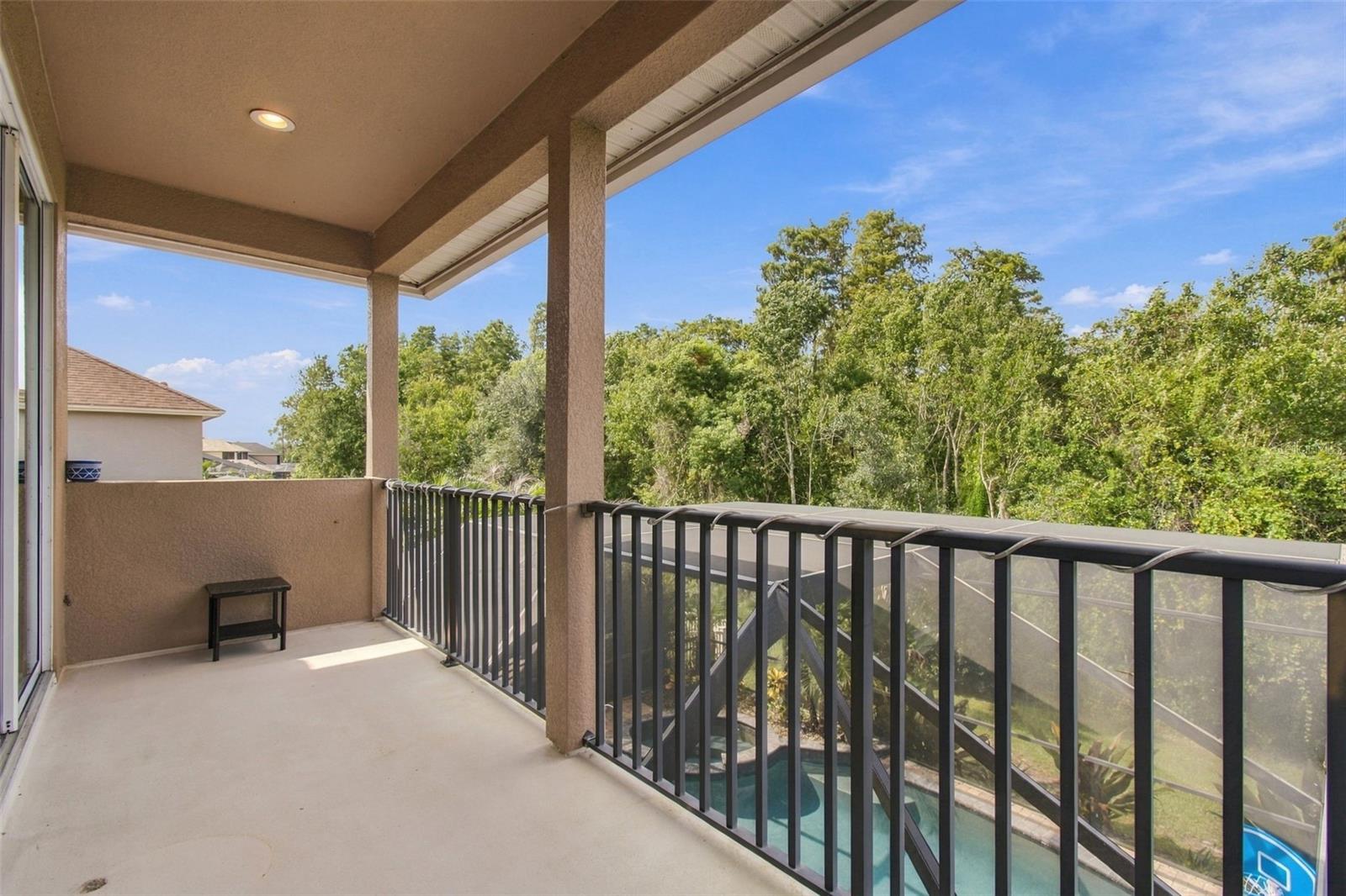 3339 Diamond Falls Cir Property Photo 68