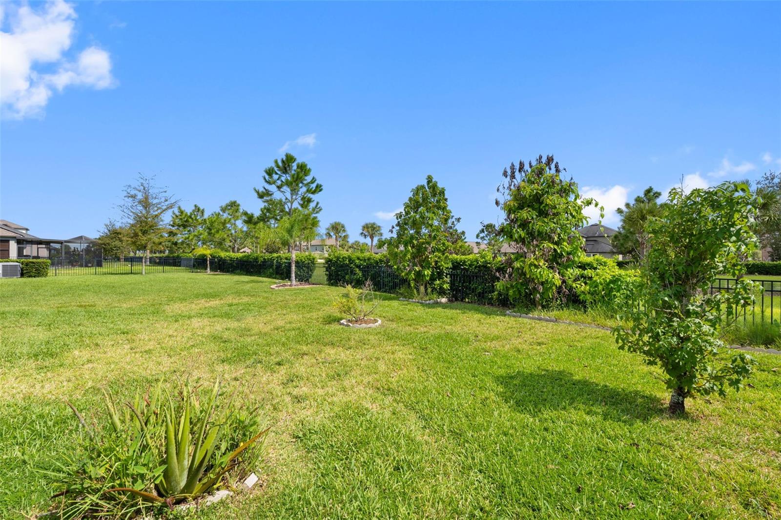 9730 Ivory Dr Property Photo 48