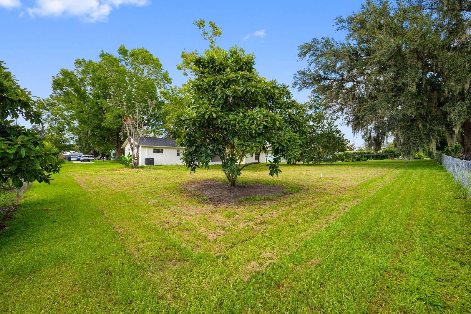 11836 Orange St Property Photo 36