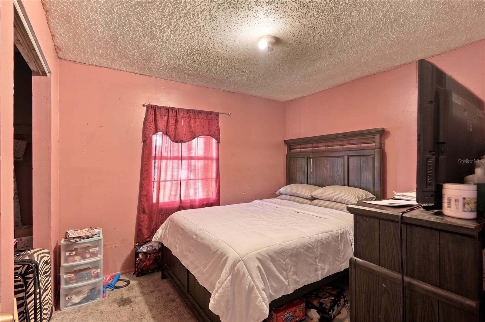37317 Moceri Ave Property Photo 13