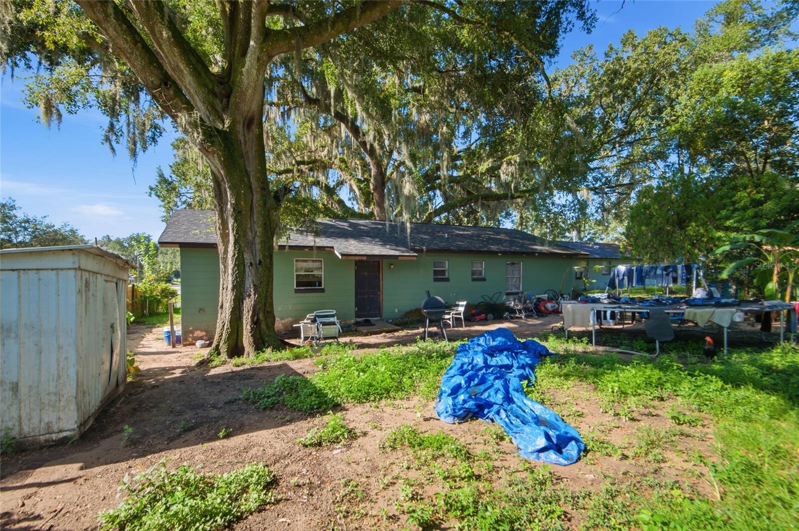 37317 Moceri Ave Property Photo 15