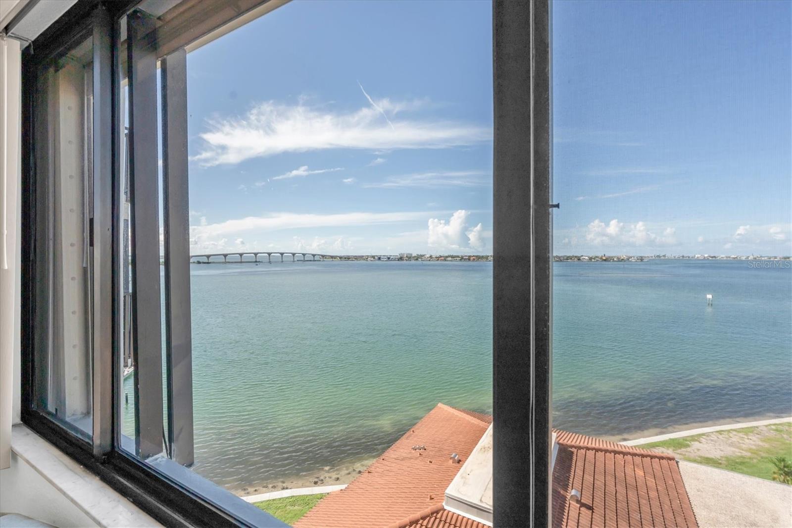 6287 Bahia Del Mar Cir #602 Property Photo 11
