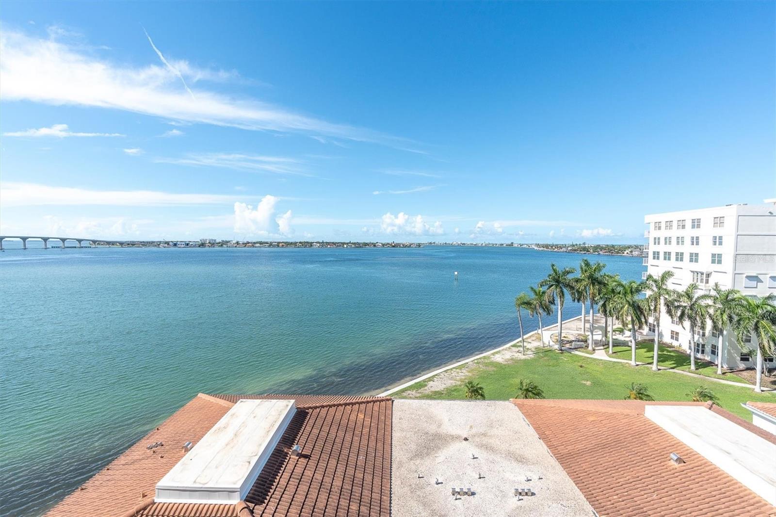 6287 Bahia Del Mar Cir #602 Property Photo 33