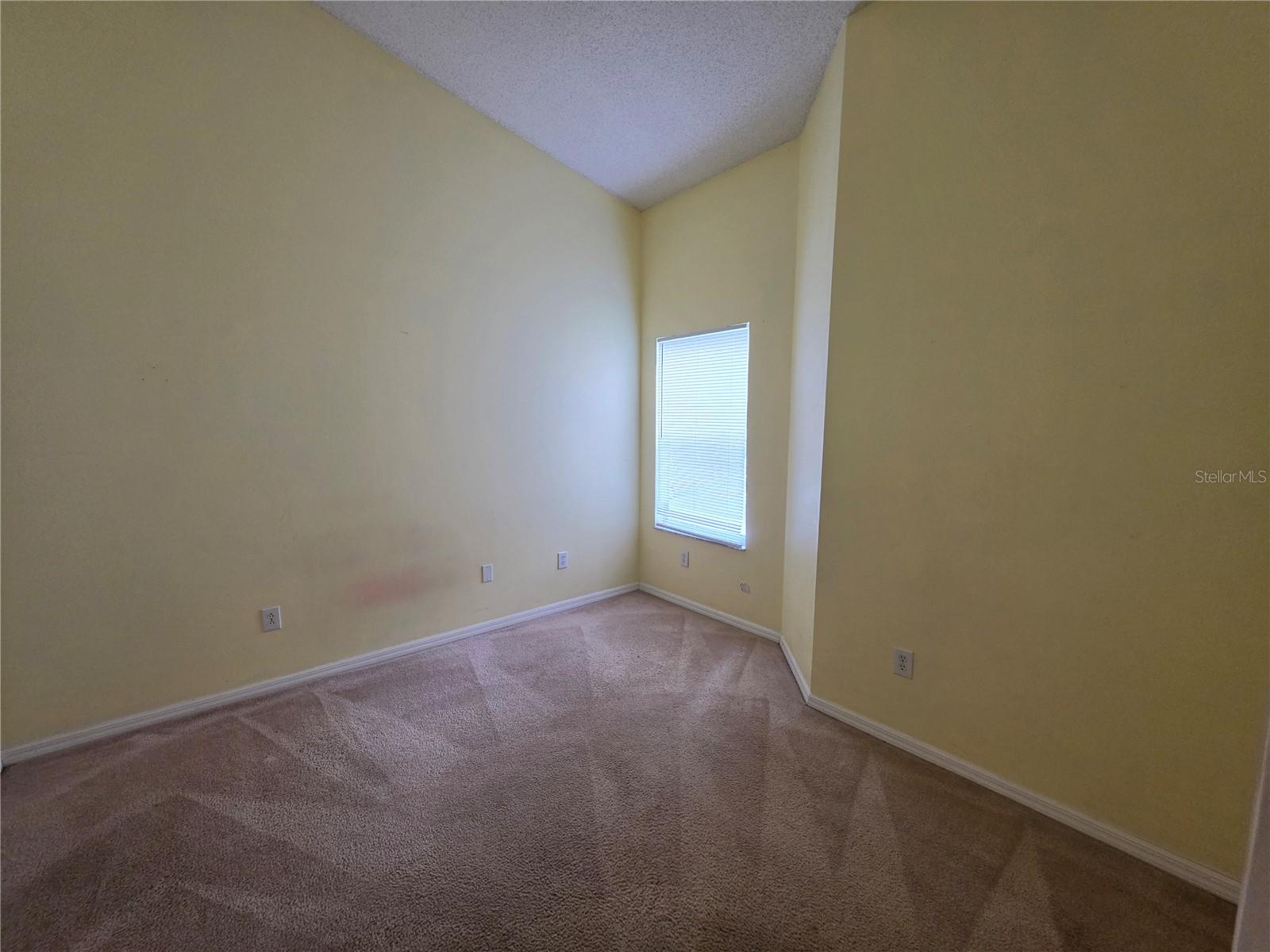 6241 Osprey Lake Cir Property Photo 21