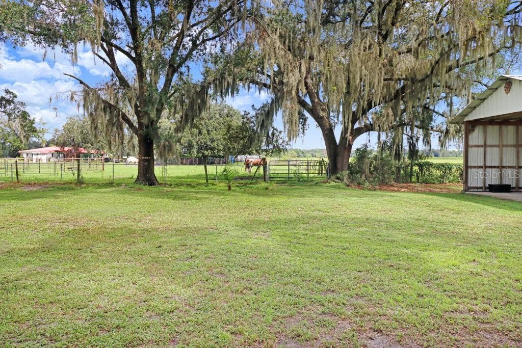 13108 Lilita Ave Property Photo 61
