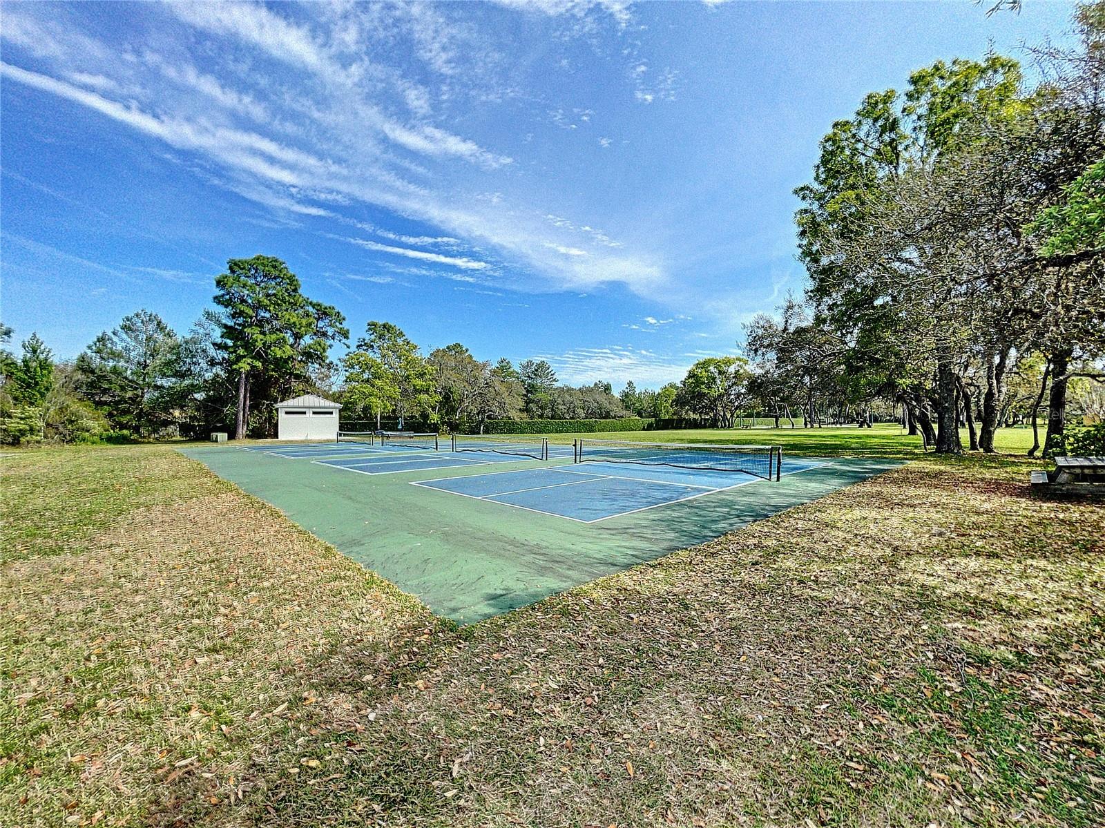 9408 New Orleans Dr Property Photo 58