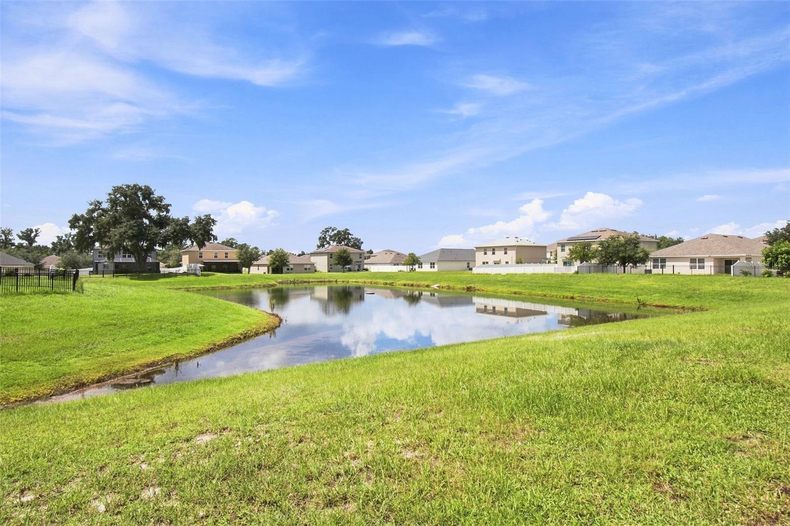 11833 Myrtle Rock Dr Property Photo 75