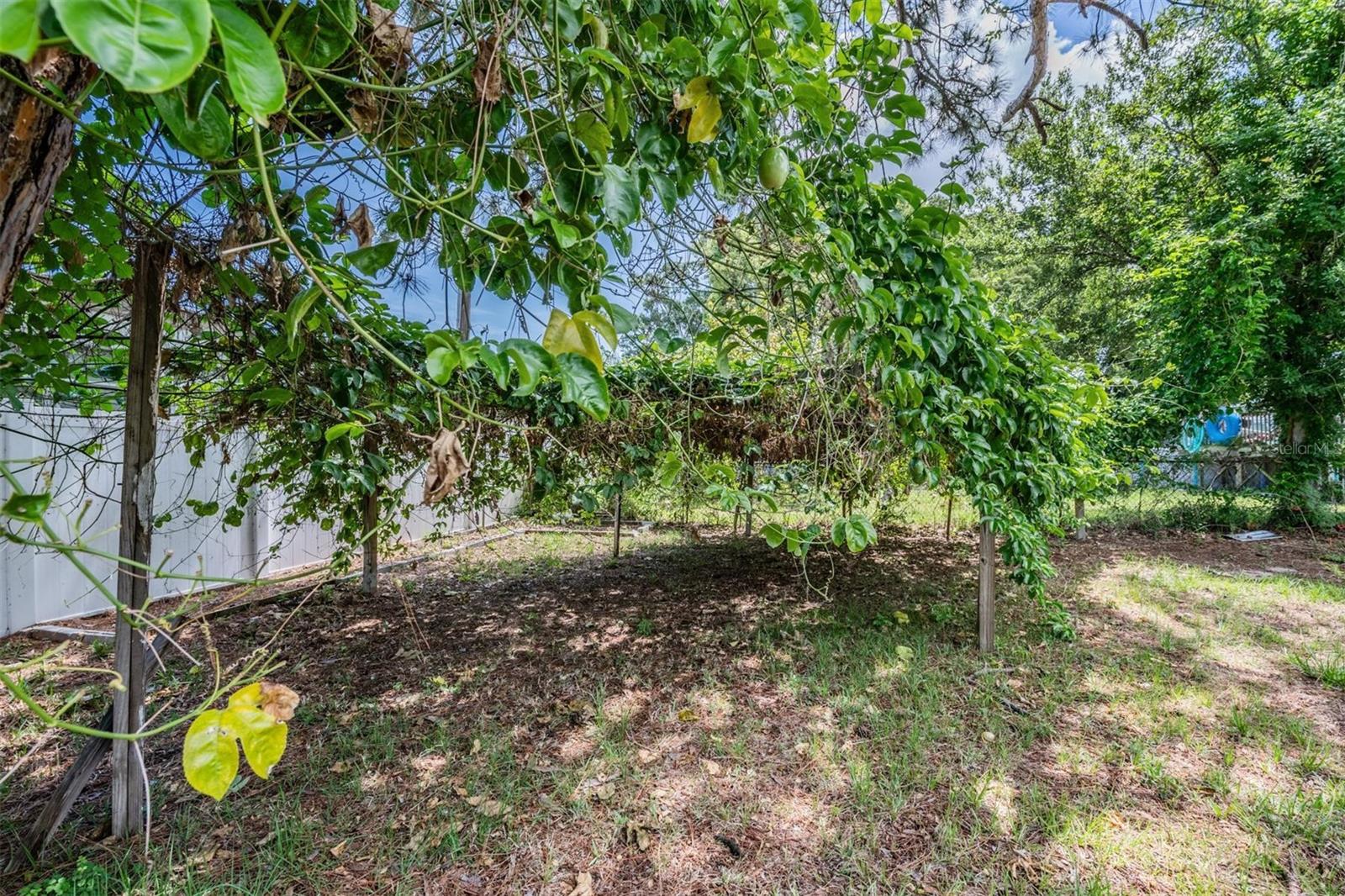 636 Stremma Rd Property Photo 25