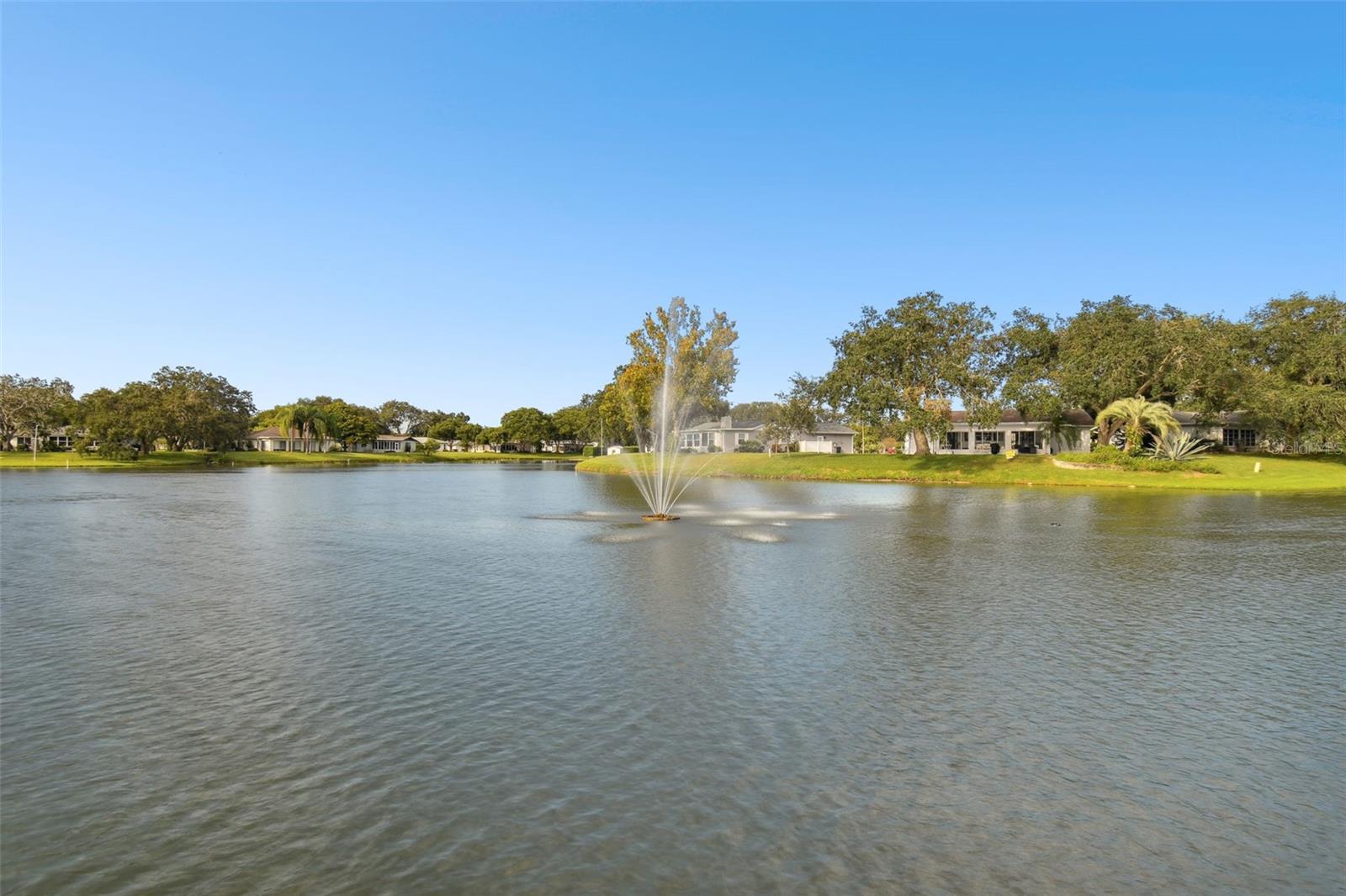 11541 San Remo Ct Property Photo 52