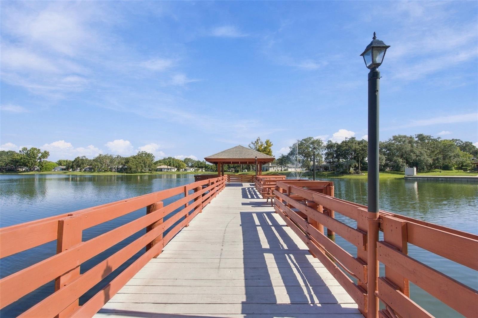 11541 San Remo Ct Property Photo 74