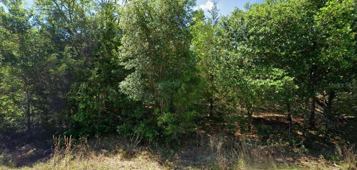 20120 Marine Blvd Property Photo 1