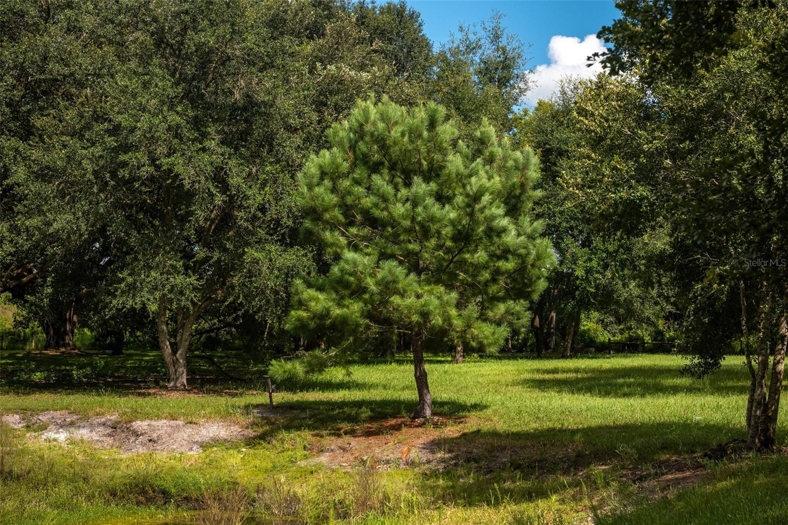 9797 Cr 674 Property Photo 60