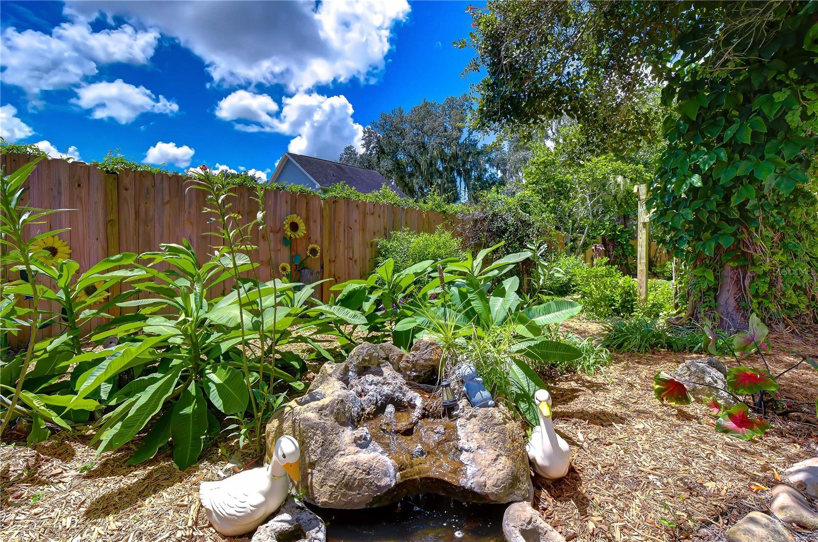 3917 King Dr Property Photo 59