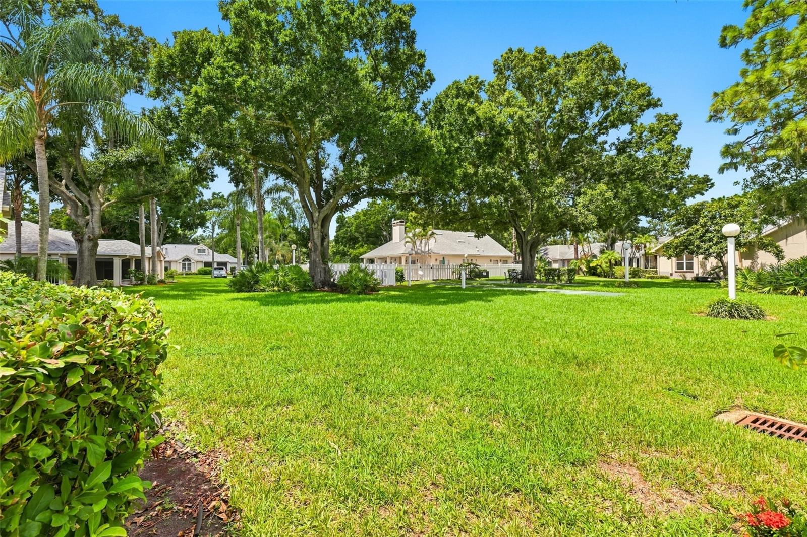 1131 Golfview Woods Dr Property Photo 7