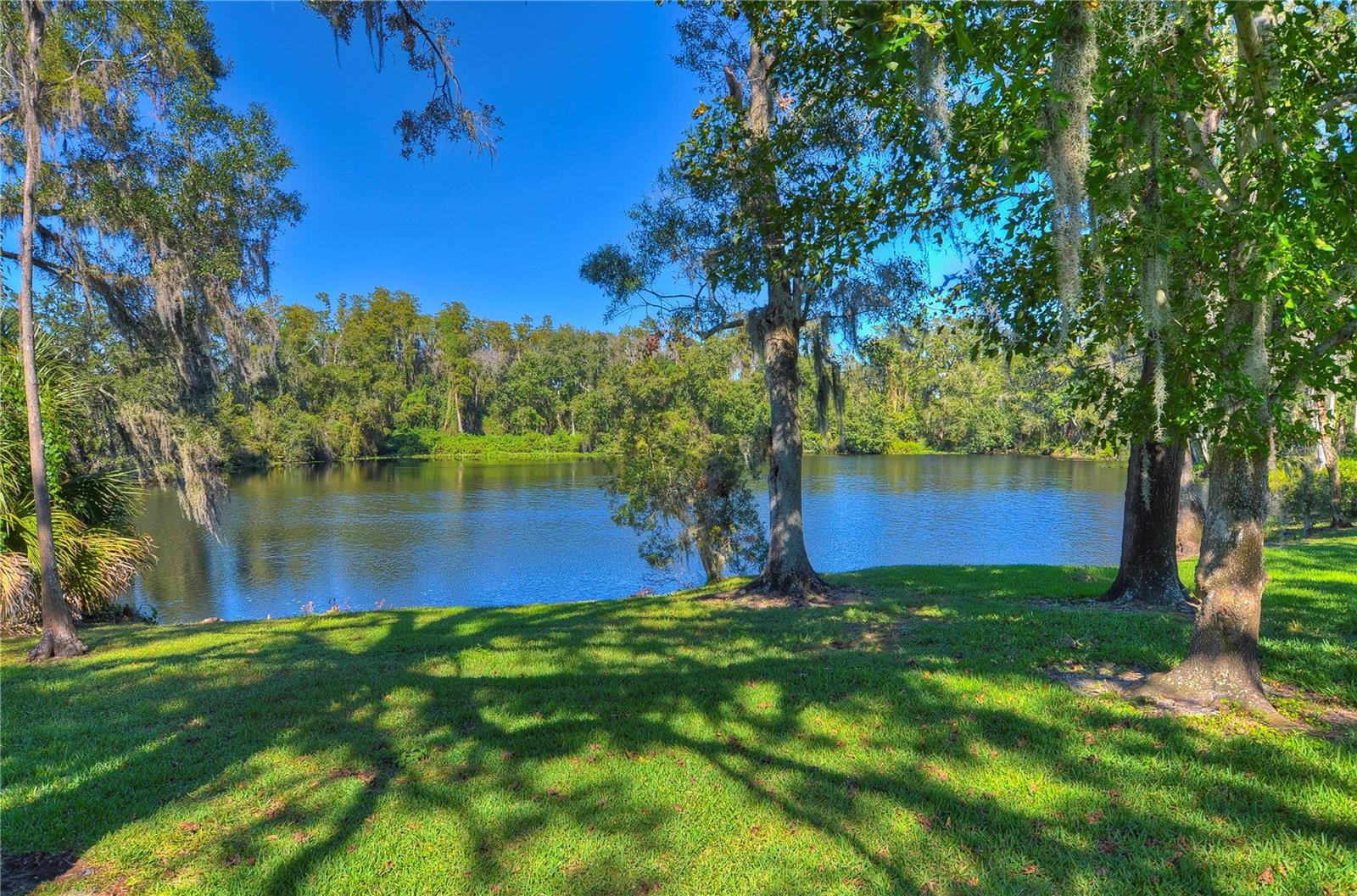 6810 Muncaster Ct Property Photo 83