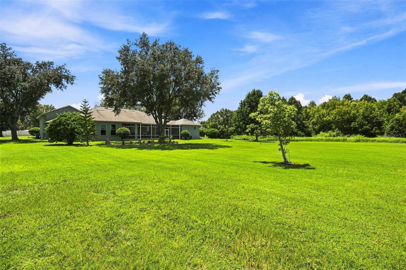 3410 Punkin Patch Ln Property Photo 41