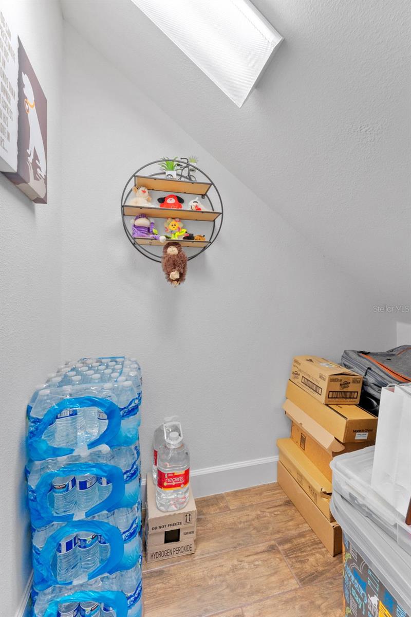 5520 Silver Sun Dr Property Photo 42