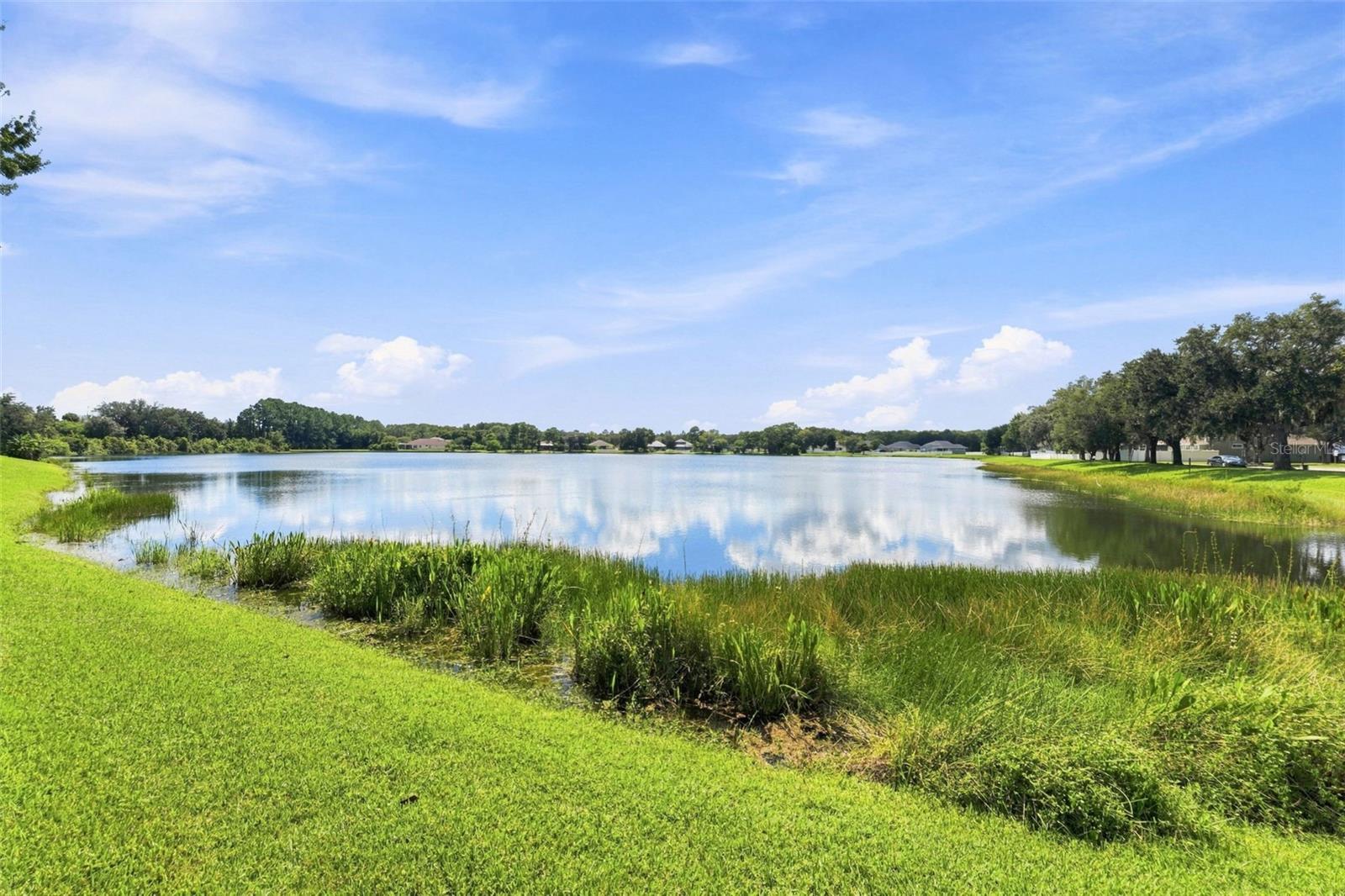 18022 Lake Reflections Blvd Property Photo 4