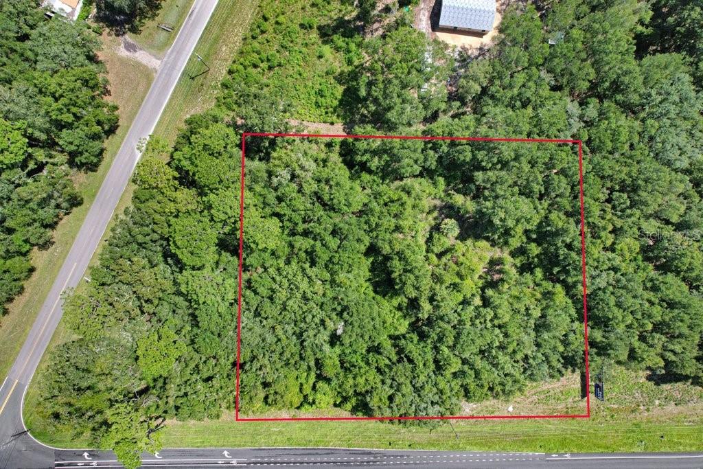 Us Hwy 19 Property Photo 14