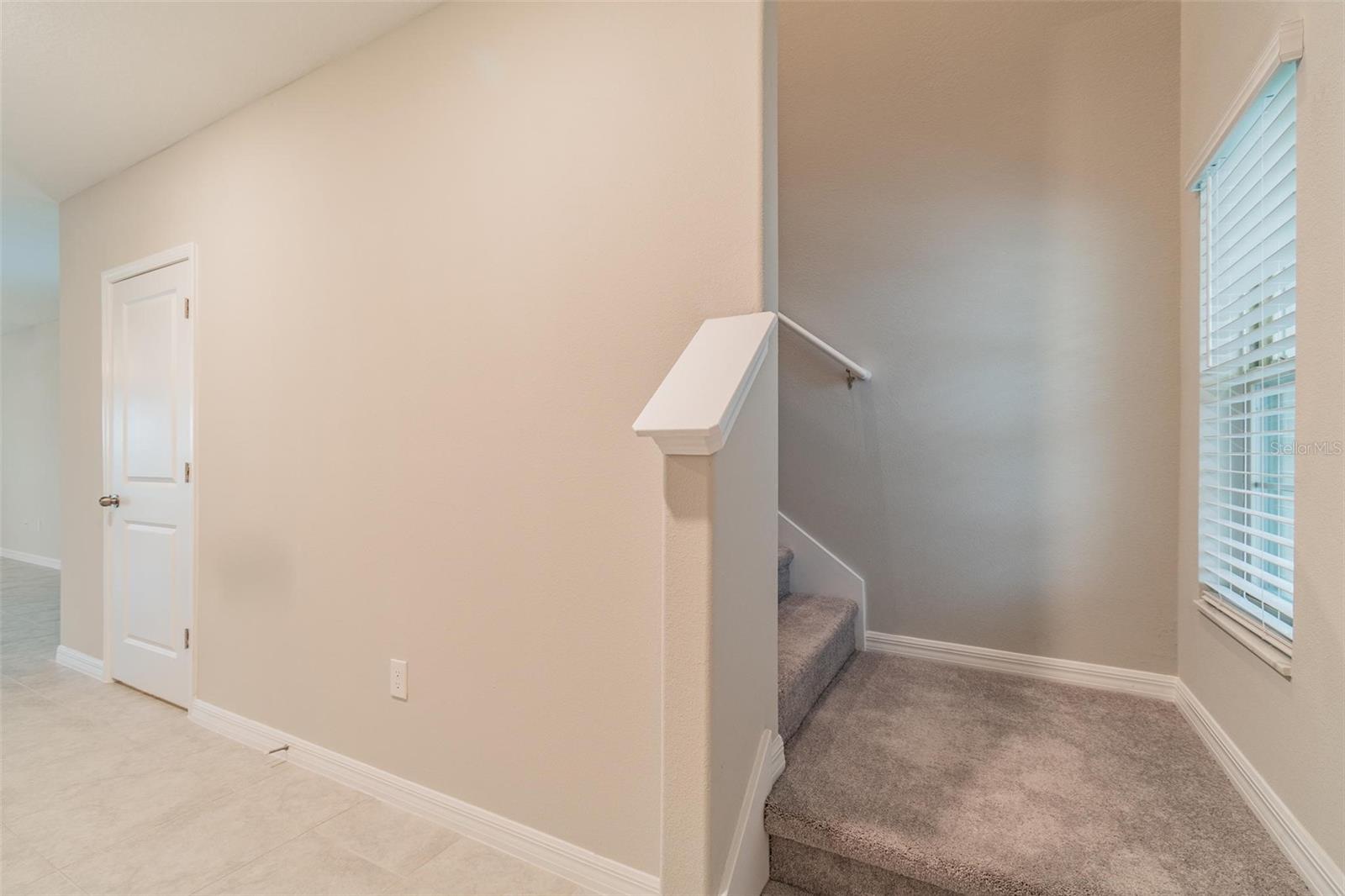 5064 White Chicory Dr Property Photo 13