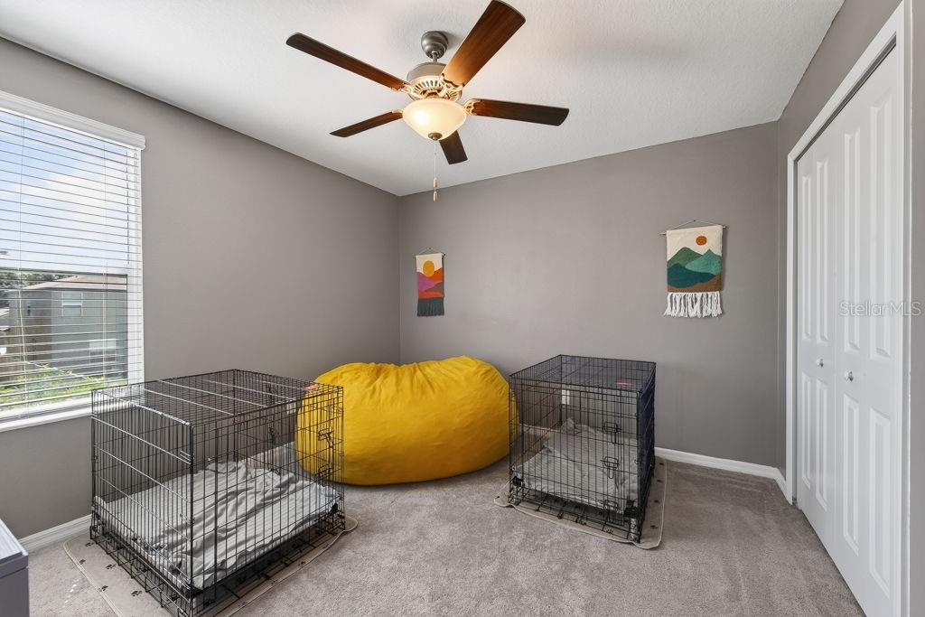2148 Shining Azul Way Property Photo 38
